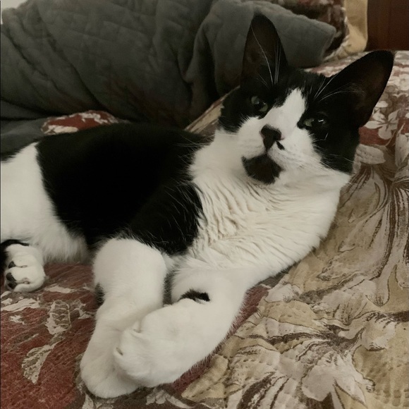 Meet your Posher, Angela - Picture 1 of 8